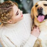 romania se aliniaza normelor ue schimbari majore pentru stapanii de caini si pisici incepand cu 22 aprilie 699a25e176d50