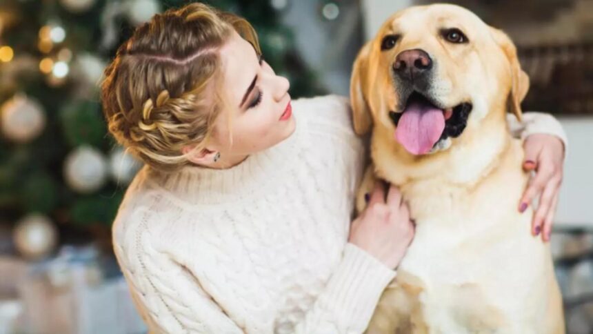 romania se aliniaza normelor ue schimbari majore pentru stapanii de caini si pisici incepand cu 22 aprilie 699a25e176d50