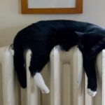 romanii se incalzesc mai bine decat francezii si spaniolii eurostat 6980906d4d16f