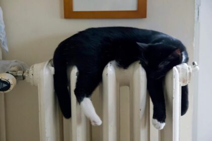 romanii se incalzesc mai bine decat francezii si spaniolii eurostat 6980906d4d16f