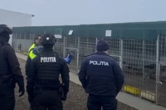 scene de groaza intr un adapost din vrancea activitatea a fost suspendata dupa ce au aparut imagini cu caini maltratati video 698ed4d8ed2a5