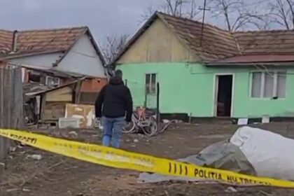 scene ingrozitoare intr o gospodarie din mures un barbat si a taiat mama cu drujba si apoi s a sinucis 69987fd8b9127