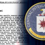 seruri ale adevarului droguri si hipnoza experimentul cia pentru modificarea comportamentului uman document desecretizat 699de92955ef9