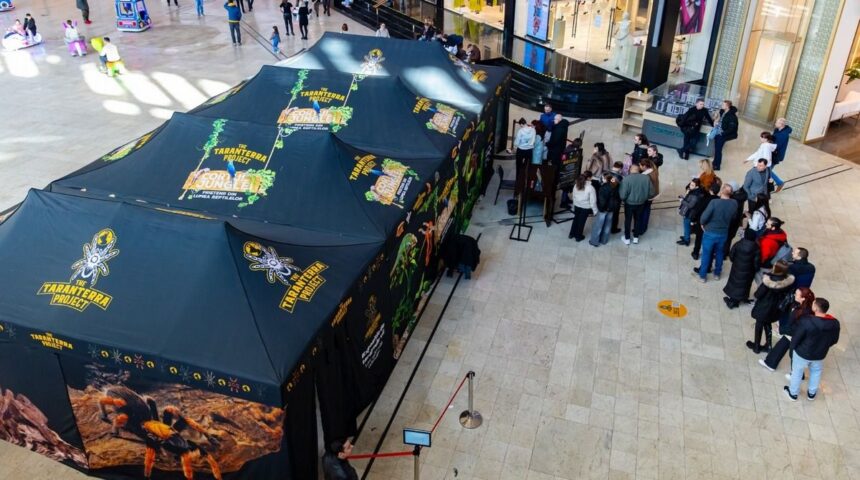 spectacol captivant pentru toata familia la taranterra joi vino sa vezi live cum sunt hranite tarantulele si reptilele 69839b7334e81