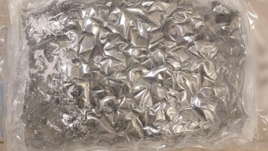 tanar arestat la iasi dupa ce a ascuns pachete cu canabis si cocaina in mai multe locuri acasa avea un adevarat depozit 6991969607737 1