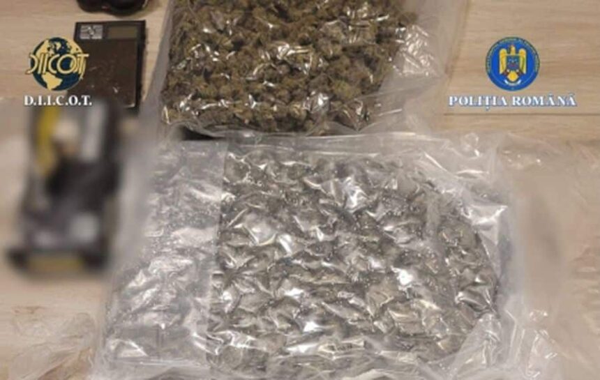 tanar arestat preventiv dupa ce a plasat in mai multe locuri din municipiul iasi pachete continand canabis si cocaina 699194030ee27