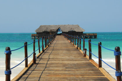 tepe cu vacante exotice in valoare de 40 000 e la o agentie din ilfov m au inconjurat cei de la securitate pentru ca nu au platit 699a92ffc9ad3