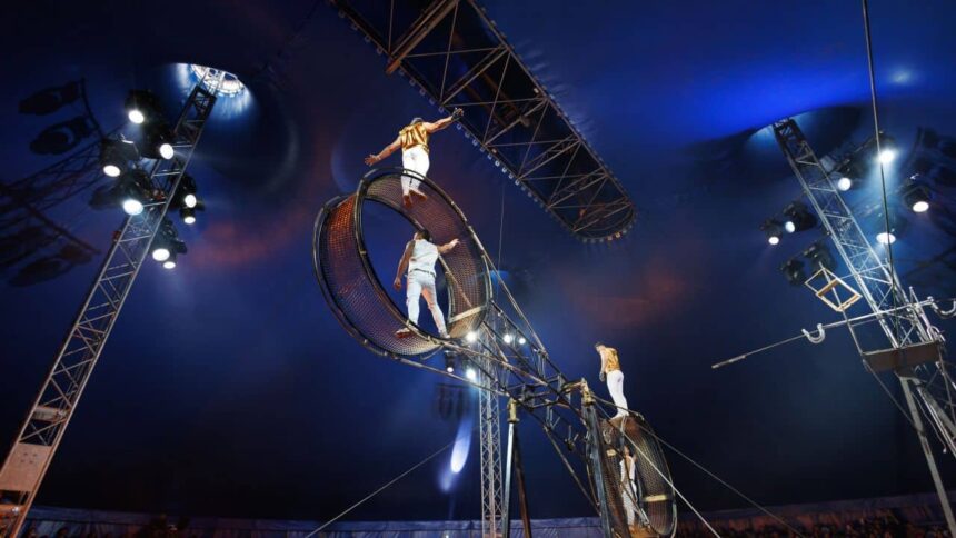 un acrobat spaniol a ajuns la spital dupa ce a cazut de la inaltime in timpul unui spectacol de circ la craiova 6991fd861b6f1