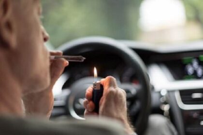 un caine l a adus pe un tanar sofer din vaslui in fata instantei la iasi a condus beat si drogat si a facut accident 699a6eac41bfc