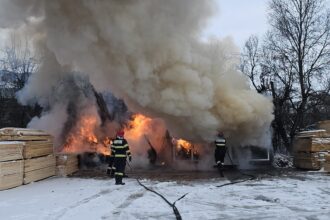 un incendiu izbucnit la o rulota s a extins la cheresteaua din curtea unei fabrici 6992bf9d43562