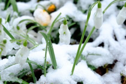 un nou soc termic vine peste romania intervalul de vreme calda se intrerupe brusc iar gerul loveste din nou tara in urmatoarele zile 698dfc5d23918