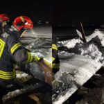 un saivan s a prabusit peste 400 de animale in judetul prahova zeci de oi si capre au murit 699ad2117ef97