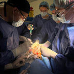 un tanar de 17 ani grav ranit intr un accident auto a salvat mai multe vieti prin bunavointa familiei care a acceptat prelevarea de organe 6982f841cecf9