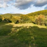 ungurii acuza romania ca a nationalizat paduri din tinutul secuiesc 699c745d913c9