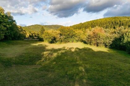 ungurii acuza romania ca a nationalizat paduri din tinutul secuiesc 699c745d913c9