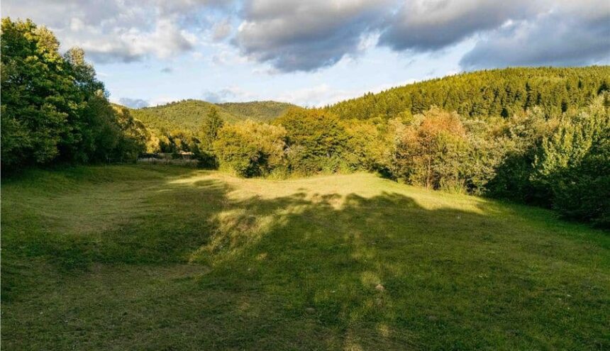 ungurii acuza romania ca a nationalizat paduri din tinutul secuiesc 699c745d913c9