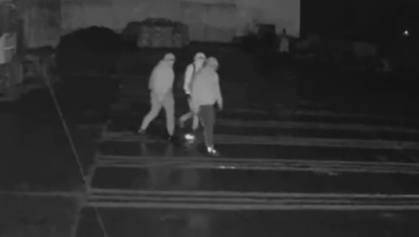 video tentativa de jaf la casieria unei firme din iasi cunoasteti aceste persoane 6985d18ba2a45