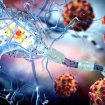 virusul pe care 95 dintre oameni il poarta toata viata si este asociat cu scleroza multipla si unele tipuri de cancer 699cb28587226