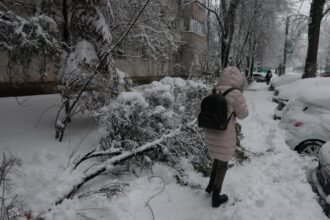 viscolul a paralizat tara drumuri inchise pene masive de curent si transport paralizat 6996a0b4c8f5d 1