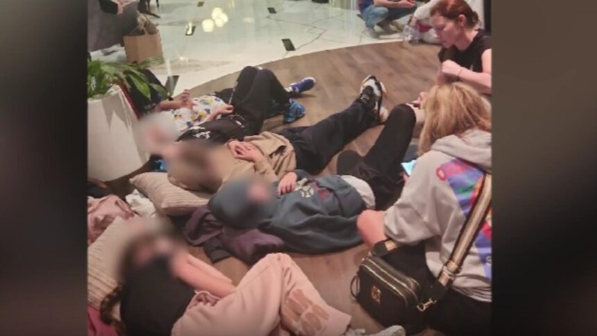 28 de elevi romani blocati in teroarea rachetelor profesoara a povestit in exclusivitate pentru realitatea plus ce se va intampla cu ei 69a447567e845