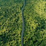 academia romana a avizat favorabil propunerea unei asociatii pentru desemnarea ca parc natural a codrilor iasilor 69bd0d57f1775