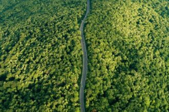 academia romana a avizat favorabil propunerea unei asociatii pentru desemnarea ca parc natural a codrilor iasilor 69bd0d57f1775