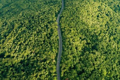 academia romana a avizat favorabil propunerea unei asociatii pentru desemnarea ca parc natural a codrilor iasilor 69bd0d57f1775