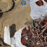 administratorul unei firme din buzau retinut pentru dezmembrarea ilegala de autovehicule si incendierea a cinci tone de deseuri video 69bbce95de0f9