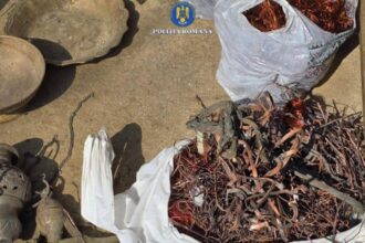 administratorul unei firme din buzau retinut pentru dezmembrarea ilegala de autovehicule si incendierea a cinci tone de deseuri video 69bbce95de0f9