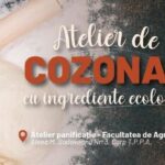 atelier practic la usv iasi inainte de paste cum se face cozonacul ecologic 69b9c52b66774