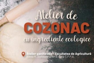 atelier practic la usv iasi inainte de paste cum se face cozonacul ecologic 69b9c52b66774