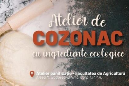 atelier practic la usv iasi inainte de paste cum se face cozonacul ecologic 69b9c52b66774