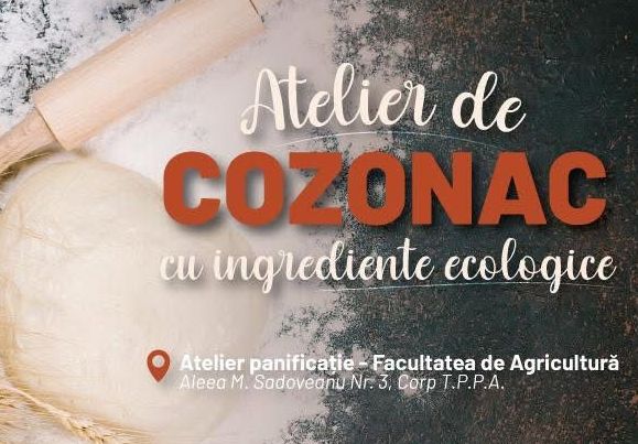 atelier practic la usv iasi inainte de paste cum se face cozonacul ecologic 69b9c52b66774