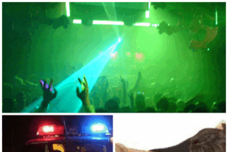 bataie ca in vestul salbatic intr o comuna din iasi doua tinere s au paruit in miez de noapte 69a81de85ee32