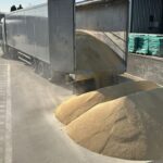 contrabanda ingenioasa la frontiera tigari in valoare de 63 000 de euro ascunse in podeaua unui camion cu furaje de soia vrac 69aaa40fa6464