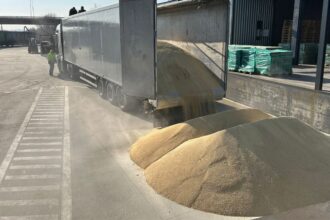 contrabanda ingenioasa la frontiera tigari in valoare de 63 000 de euro ascunse in podeaua unui camion cu furaje de soia vrac 69aaa40fa6464