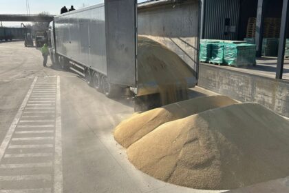 contrabanda ingenioasa la frontiera tigari in valoare de 63 000 de euro ascunse in podeaua unui camion cu furaje de soia vrac 69aaa40fa6464