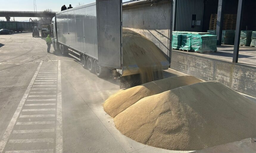 contrabanda ingenioasa la frontiera tigari in valoare de 63 000 de euro ascunse in podeaua unui camion cu furaje de soia vrac 69aaa40fa6464