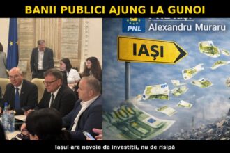cu presedintele pnl iasi banii din bugetul tarii ajung la gunoi p 69c225ac24c06