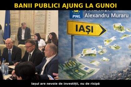 cu presedintele pnl iasi banii din bugetul tarii ajung la gunoi p 69c225ac24c06