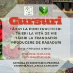 cursuri practice de taieri la pomi fructiferi vita de vie si producere de rasaduri organizate de usv iasi 69b86ca4d3433