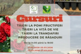 cursuri practice de taieri la pomi fructiferi vita de vie si producere de rasaduri organizate de usv iasi 69b86ca4d3433