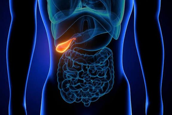 dr gabriela canschi pietrele la fiereo afectiune tacuta cu complicatii zgomotoase 69a915a581f75