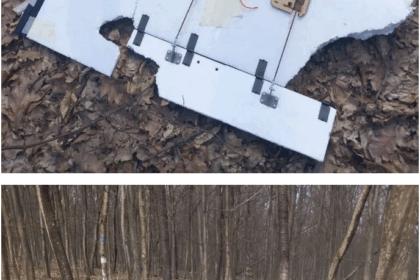 drona gasita intr o padure din judetul iasi zeci de specialisti au impanzit zona 69c510ee8ebad 1