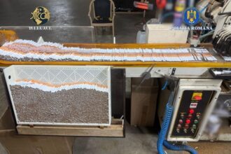 fabrica ilegala de tigari si tone de tutun descoperite la periferia timisoarei de politisti si procurori din caras severin video 69a81d1e4f404