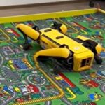 faceti cunostinta cu grivei cel automatizat cainele robot de 100 000 de euro care va invata sa hoinareasca singur prin facultatea ieseana de automatica si calculatoare 69bf46e488d16