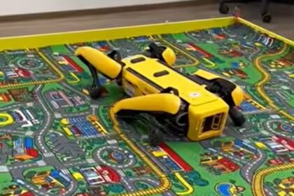 faceti cunostinta cu grivei cel automatizat cainele robot de 100 000 de euro care va invata sa hoinareasca singur prin facultatea ieseana de automatica si calculatoare 69bf46e488d16