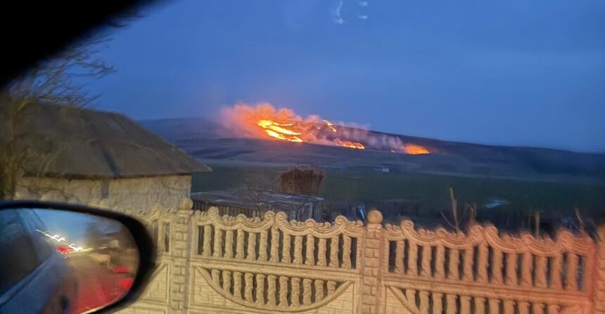 foto flacari uriase la plugari incendiu de vegetatie pe suprafata extinsa 69c6bf5a99647