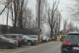 foto incendiu la containere de gunoi in alexandru cel bun pompierii au intervenit cu doua autospeciale 69b81134752c4