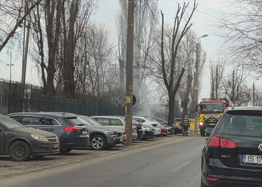 foto incendiu la containere de gunoi in alexandru cel bun pompierii au intervenit cu doua autospeciale 69b81134752c4